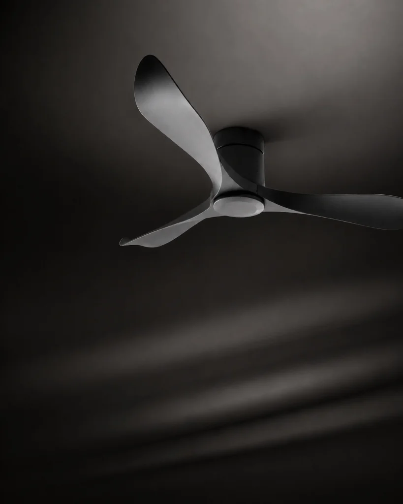 Ceiling Fan